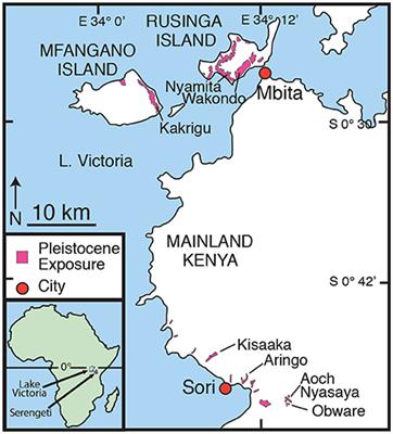 Reconstruction of Late Pleistocene Paleoenvironments Using Bulk Geochemistry of Paleosols from the Lake Victoria Region